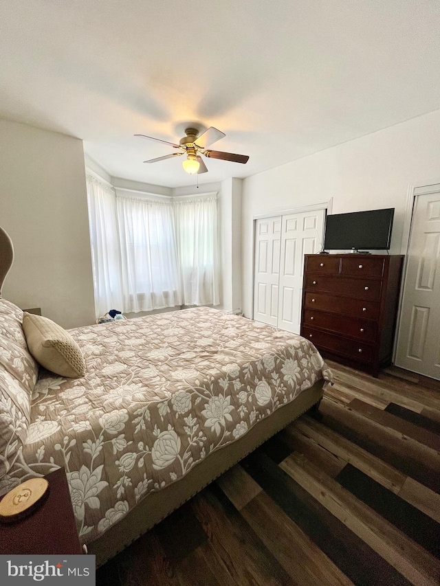 bedroom featuring ceiling fan, dark hardwood / wood-style flooring, and a closet