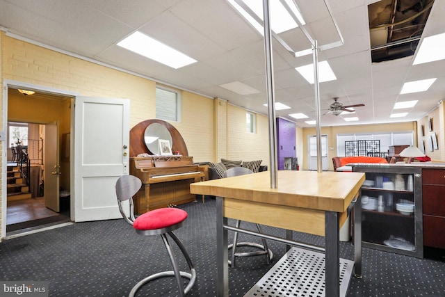 carpeted home office featuring ceiling fan, a drop ceiling, and brick wall