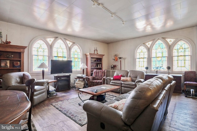 living room with hardwood / wood-style floors and rail lighting