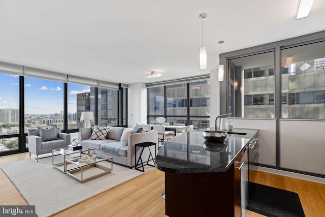 living room featuring light hardwood / wood-style floors, floor to ceiling windows, and sink