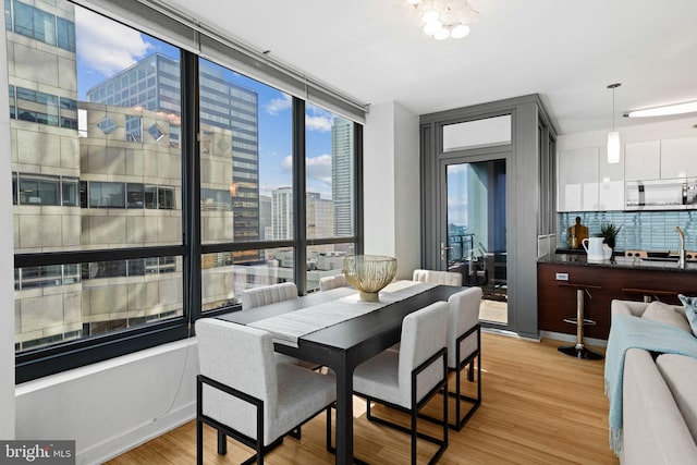 dining room with light hardwood / wood-style flooring and expansive windows