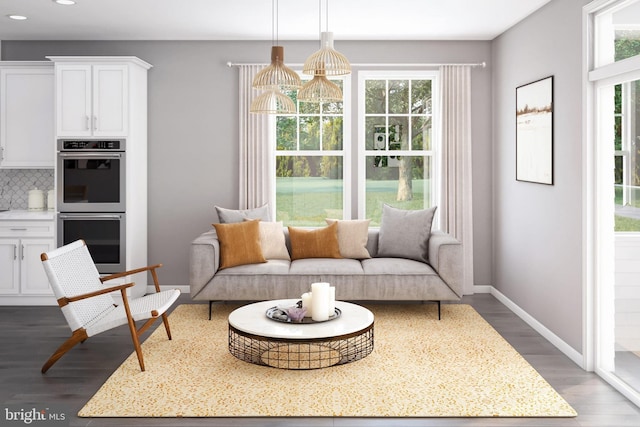 living room featuring dark hardwood / wood-style flooring