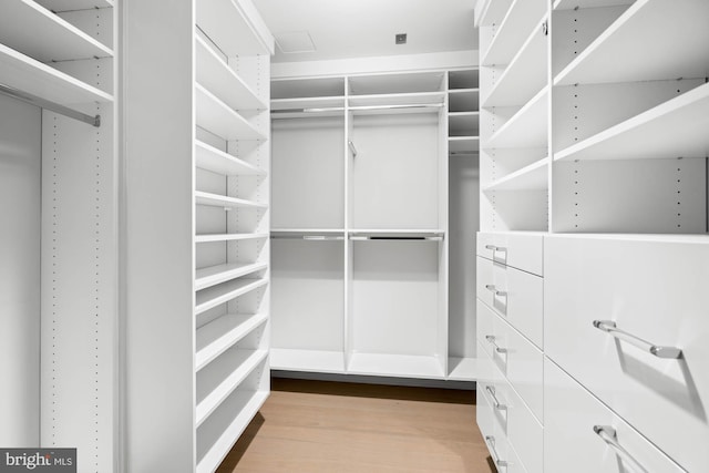 spacious closet with light hardwood / wood-style floors