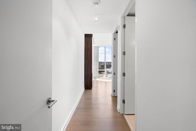 hall with floor to ceiling windows and light wood-type flooring