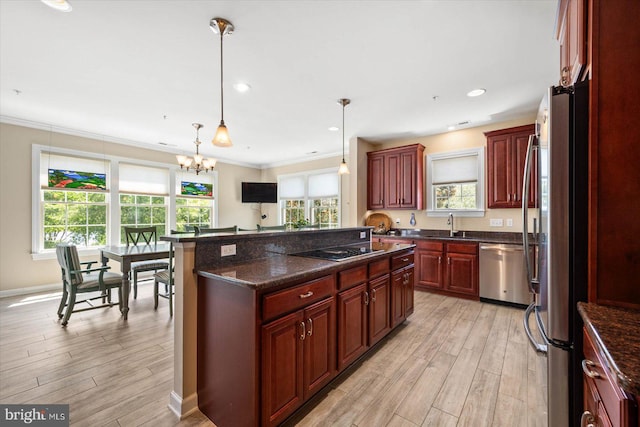 kitchen with plenty of natural light, light hardwood / wood-style flooring, pendant lighting, and stainless steel appliances