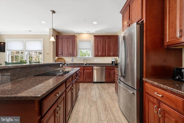 kitchen with a wealth of natural light, decorative light fixtures, light hardwood / wood-style flooring, and appliances with stainless steel finishes