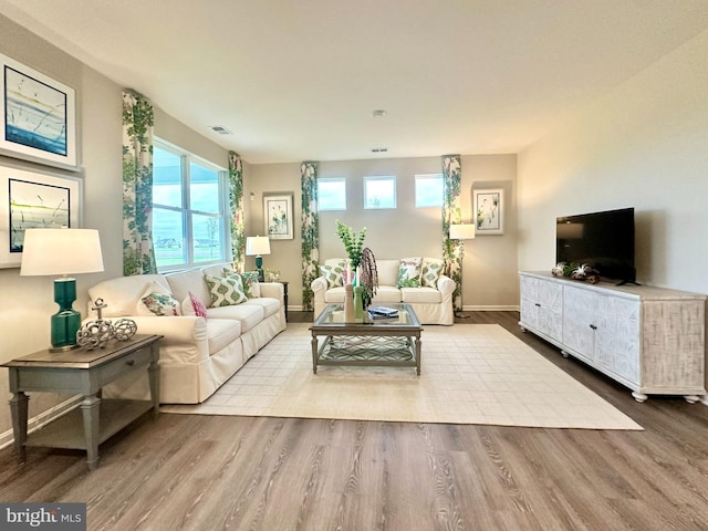 living room with hardwood / wood-style floors