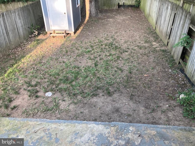 view of yard featuring a shed