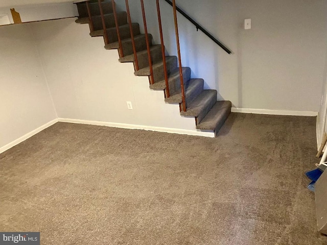 stairs with carpet