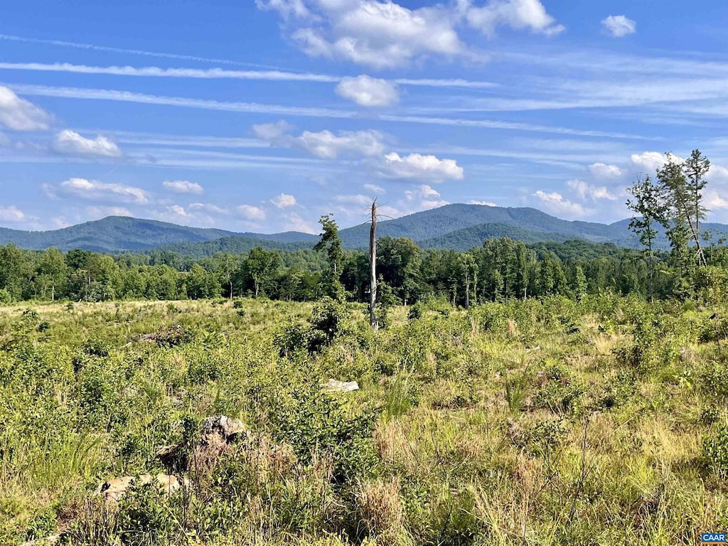 7337 Dick Woods Rd, Afton, VA 22920