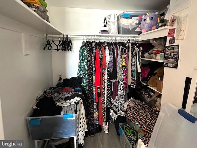 walk in closet featuring hardwood / wood-style flooring