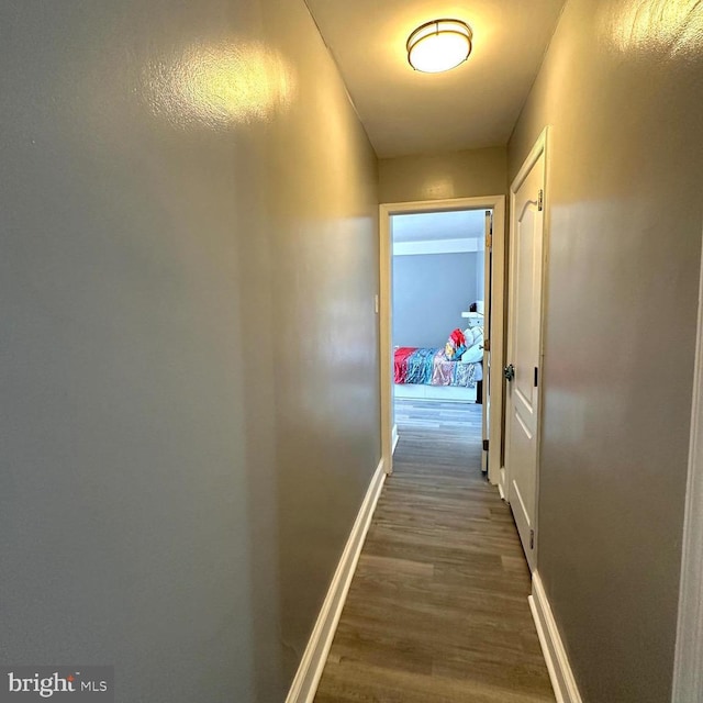 corridor with dark hardwood / wood-style floors