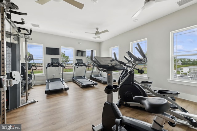 exercise room featuring wood-type flooring and ceiling fan