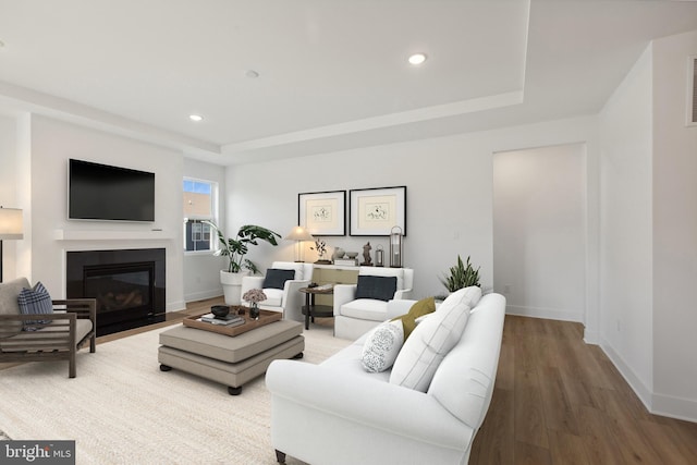 living room featuring a tray ceiling and hardwood / wood-style flooring