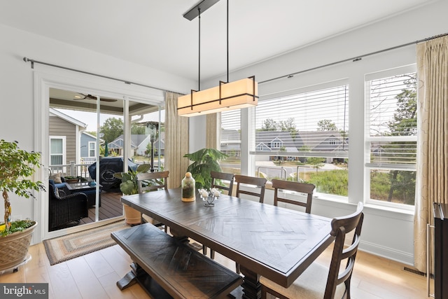 dining room with light hardwood / wood-style flooring and a healthy amount of sunlight