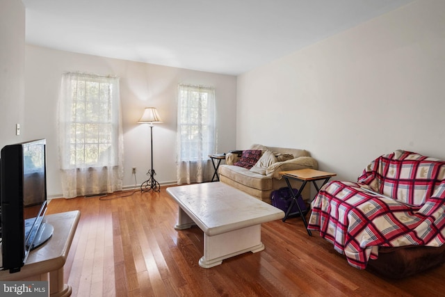 living room with wood-type flooring