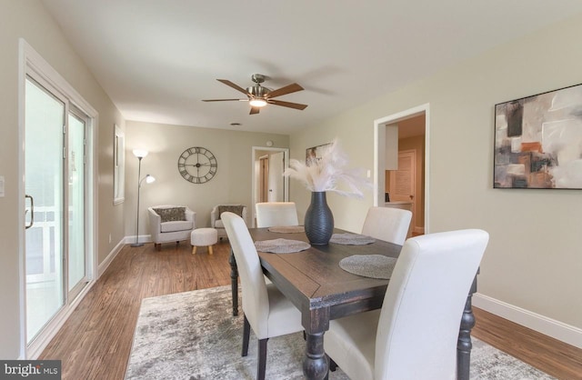 dining room featuring wood-type flooring and ceiling fan