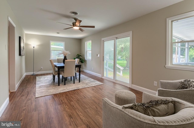 dining space with a wealth of natural light, hardwood / wood-style flooring, and ceiling fan