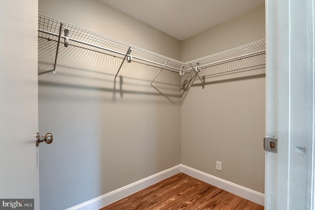 spacious closet with hardwood / wood-style floors