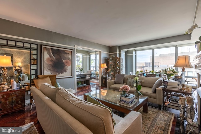 living room with dark parquet floors