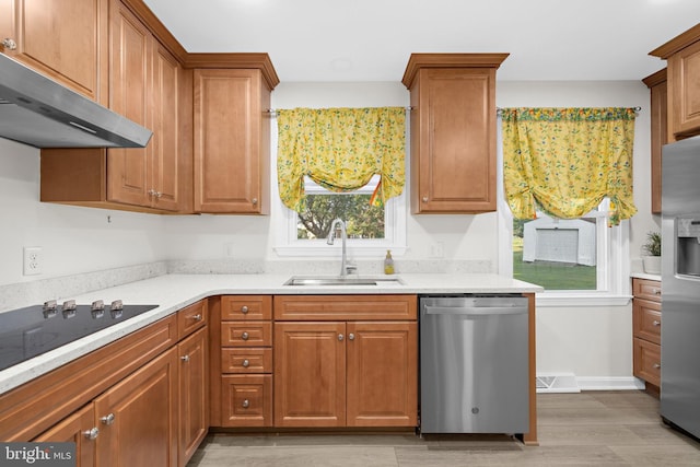 kitchen featuring stainless steel appliances, sink, and light hardwood / wood-style floors