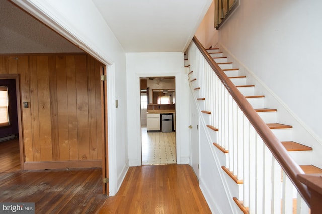 stairs with wood-type flooring and wood walls