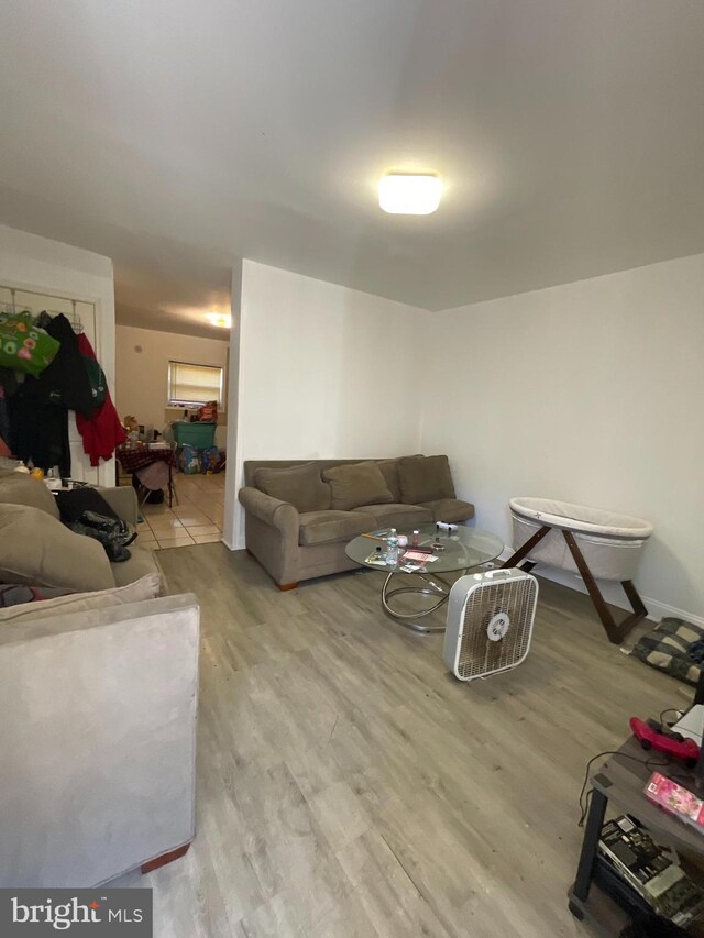 living room featuring wood-type flooring