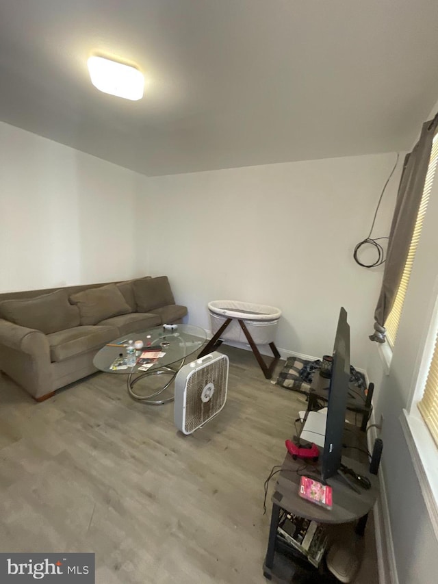 living room featuring wood-type flooring