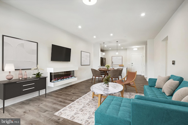 living room featuring wood-type flooring