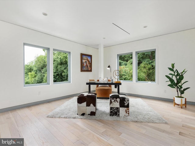 dining room featuring a healthy amount of sunlight and light hardwood / wood-style flooring