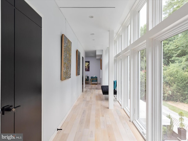 corridor with light hardwood / wood-style flooring