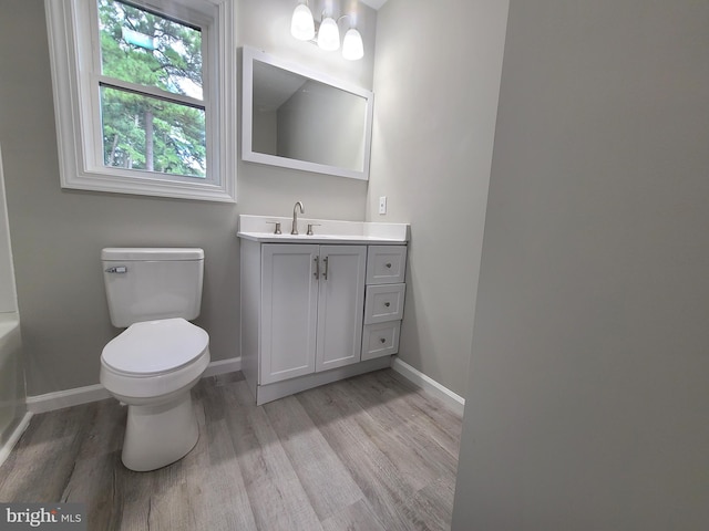 bathroom featuring vanity, wood-type flooring, and toilet