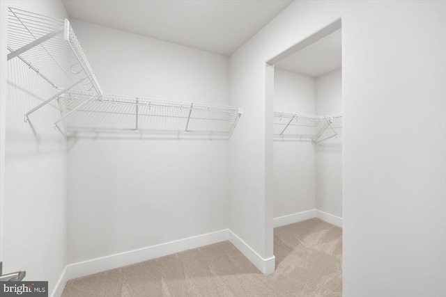 walk in closet with light colored carpet