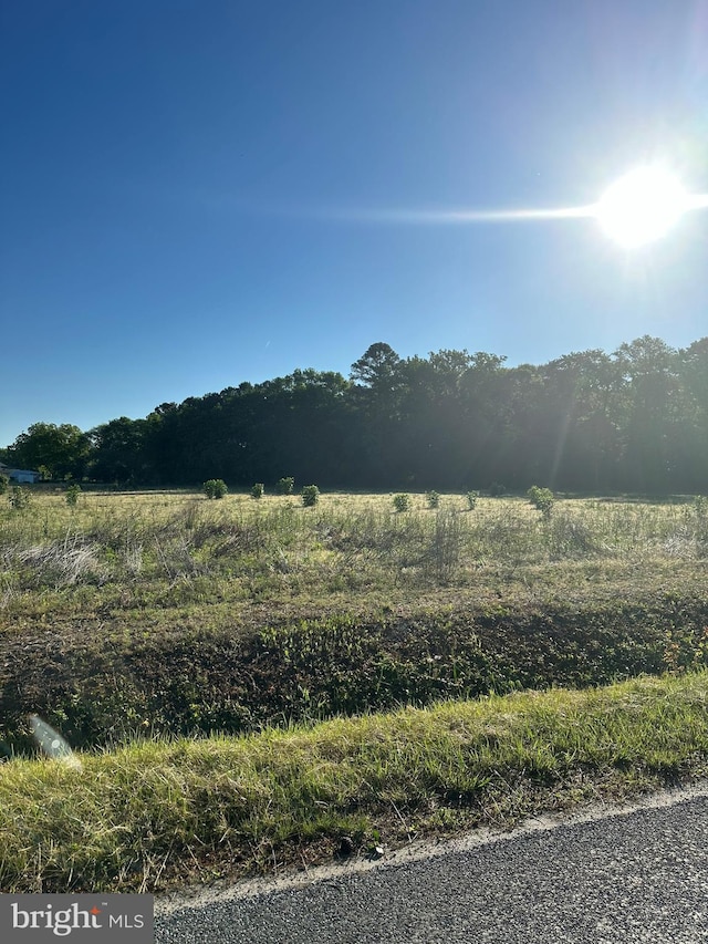 0 Lynch Rd, Selbyville DE, 19975 land for sale