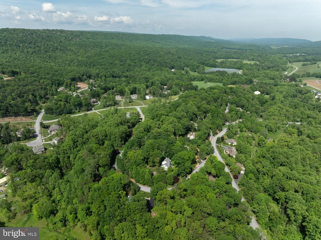 bird's eye view