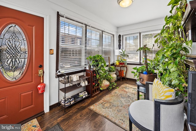 entryway featuring dark hardwood / wood-style flooring