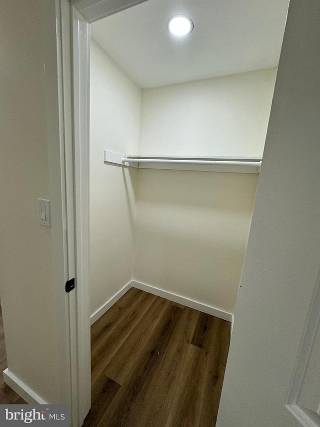 walk in closet with dark wood-type flooring