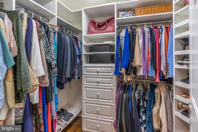 view of spacious closet