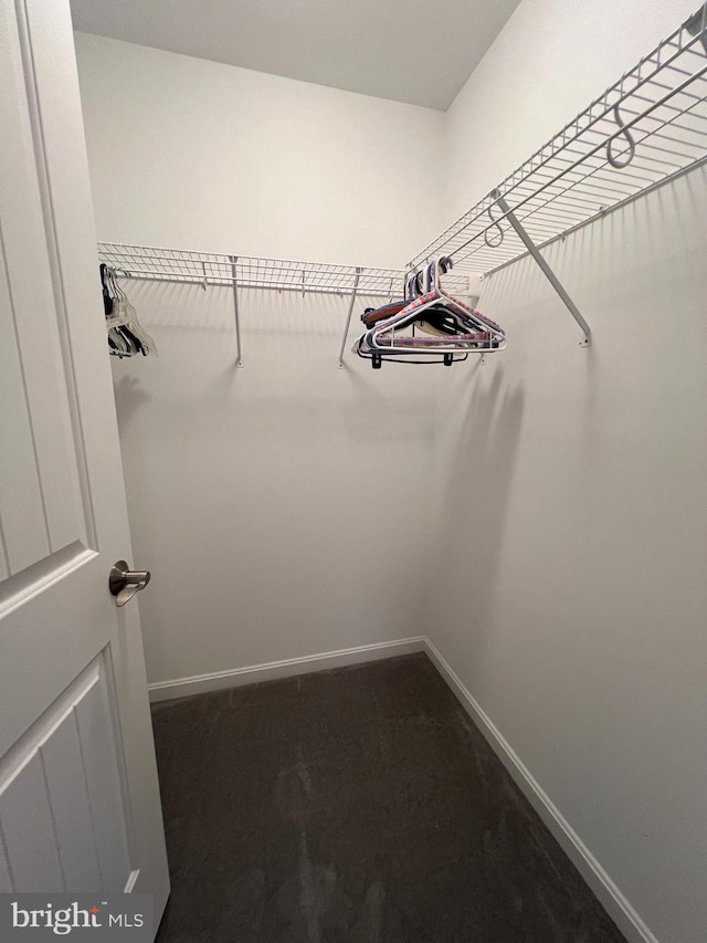 walk in closet featuring dark colored carpet