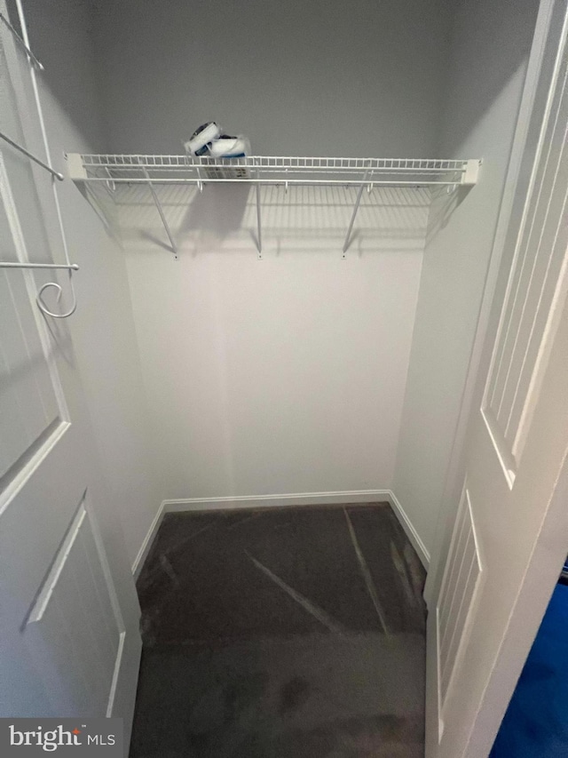 spacious closet featuring carpet