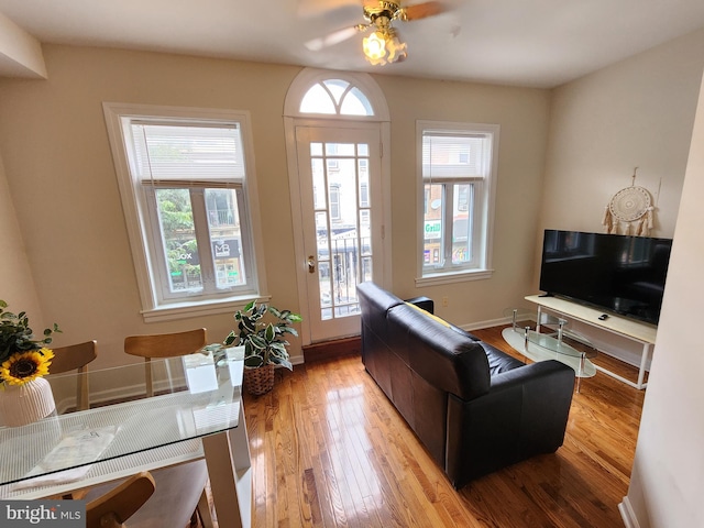 living room featuring ceiling fan and wood-type flooring