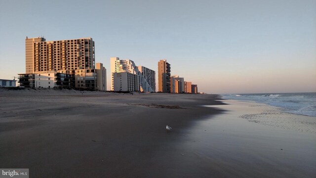 exterior space with a view of the beach