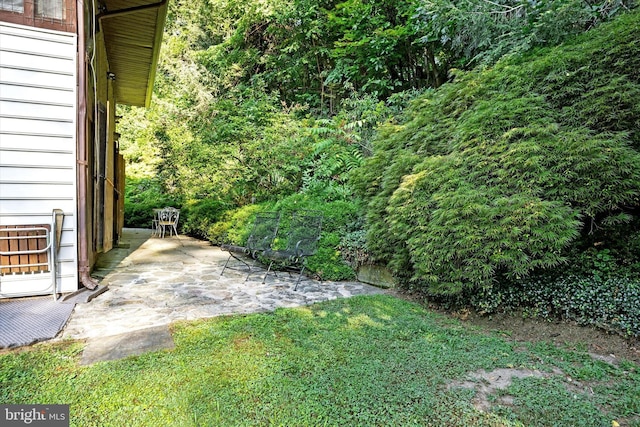 view of yard featuring a patio area