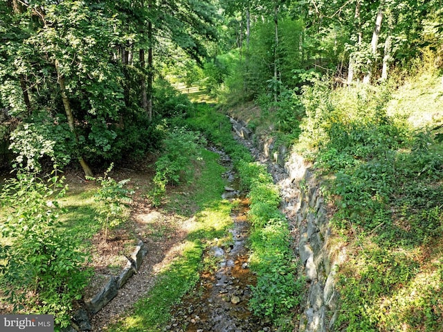 view of local wilderness