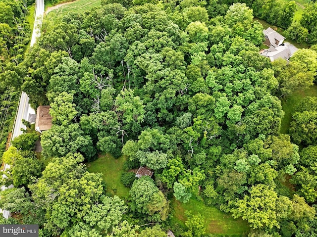 bird's eye view