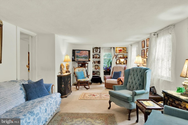 living room featuring a textured ceiling and light colored carpet