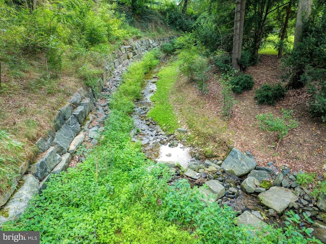 view of local wilderness