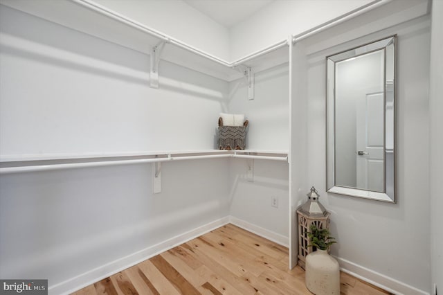 walk in closet featuring hardwood / wood-style flooring