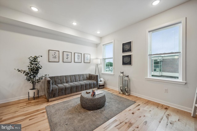 living room with light wood-type flooring