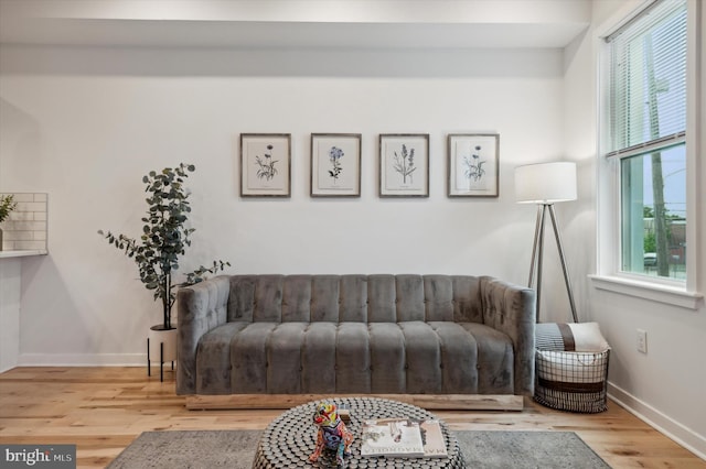 living room featuring light wood-type flooring